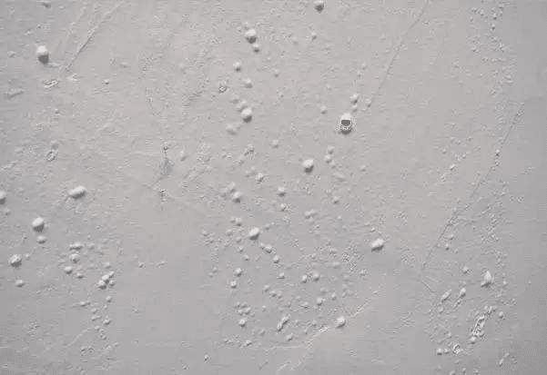 膩?zhàn)臃巯輨?></a>
			</li>
            
			<li id=